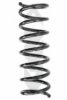 SPIDAN 86665 Coil Spring